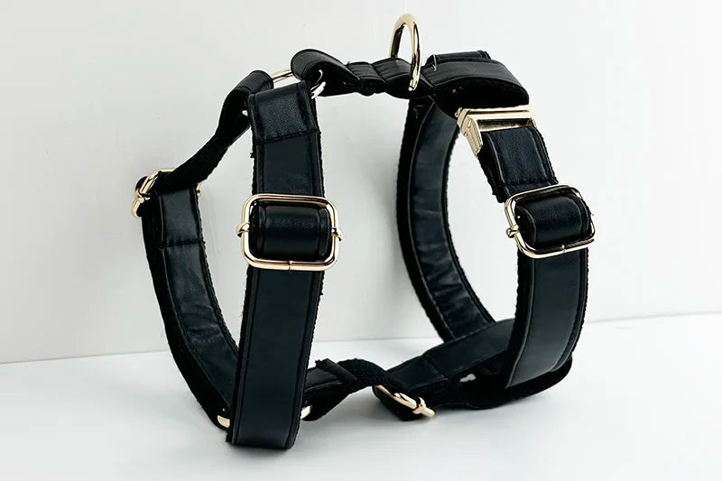 Black Leather Pet Collar And Leash Set With Custom Engraved Nameplate