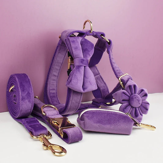 Deep Purple Velvet Pet Collar And Leash Set With Custom Engraved Nameplate