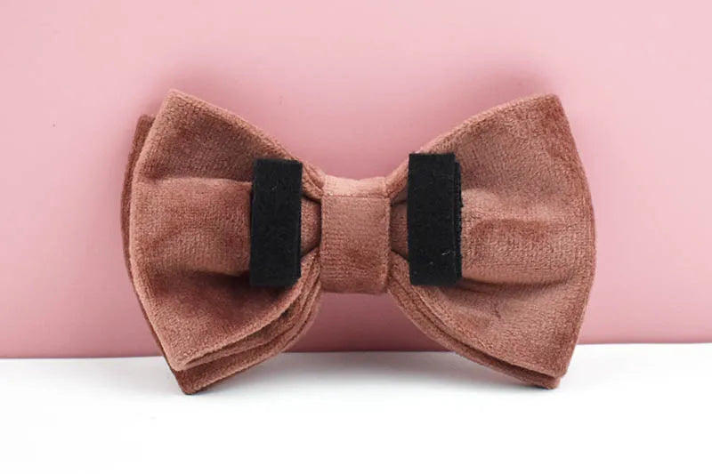 Dusty Pink Velvet Pet Collar And Leash Set with Nameplate