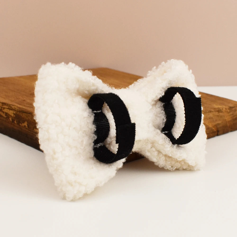 White Teddy Pet Collar & Harness Set With Custom Engraving
