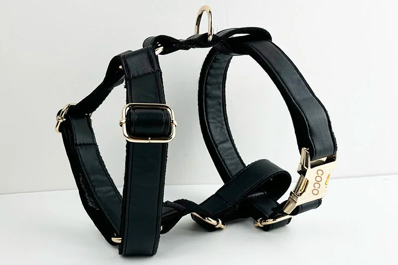 Black Leather Pet Collar And Leash Set With Custom Engraved Nameplate