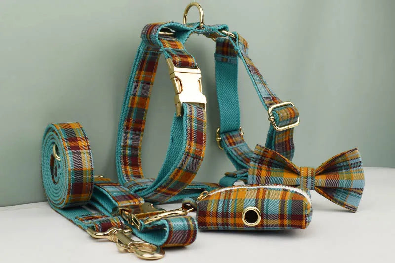 Personalized Pet Collar Set