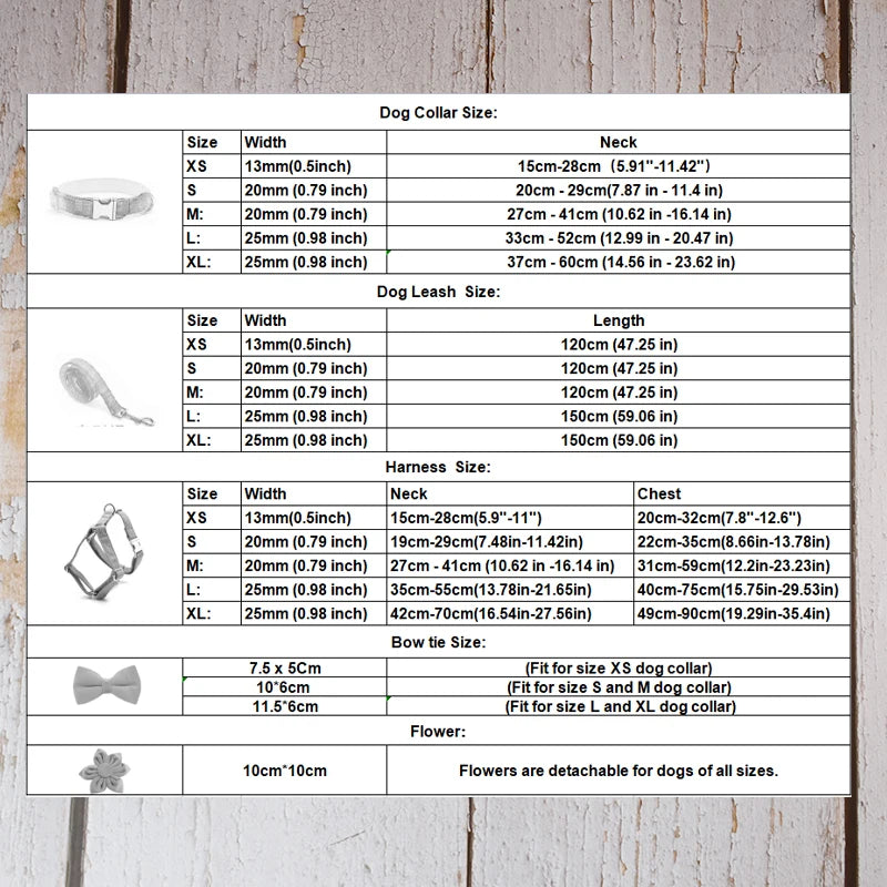 Personalized Pet Collar Set