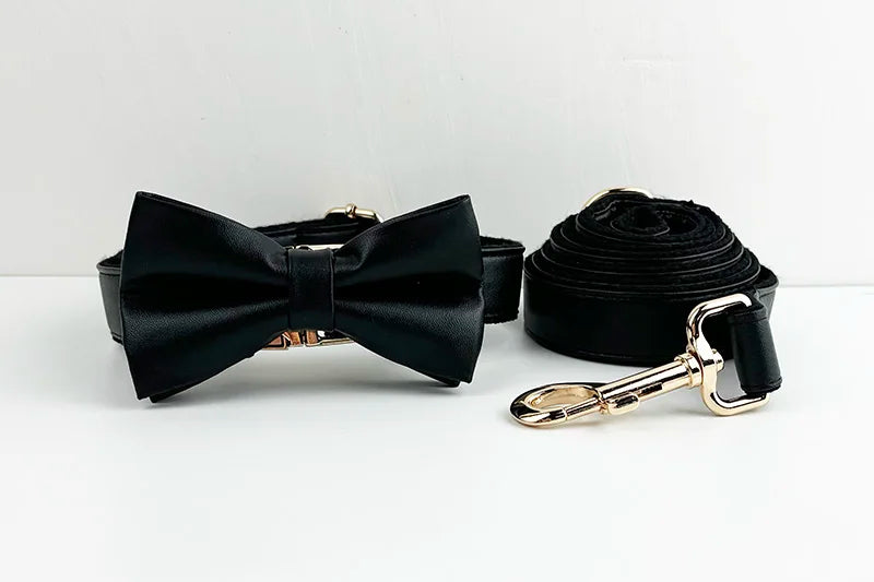 Black Leather Pet Collar And Leash Set With Custom Engraved Nameplate