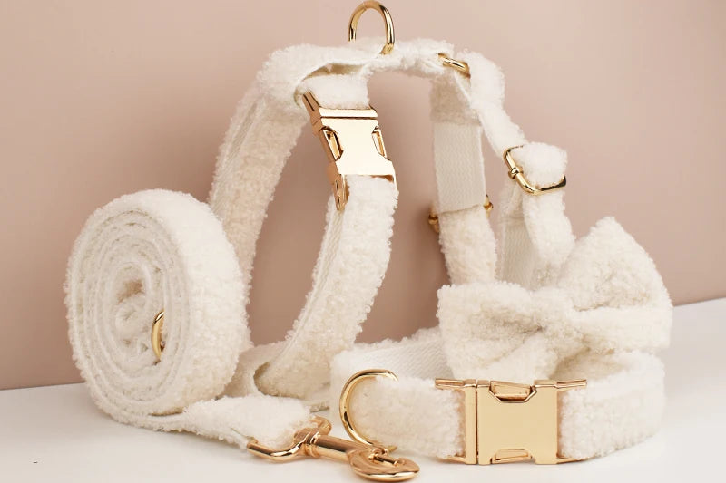 White Teddy Pet Collar & Harness Set With Custom Engraving