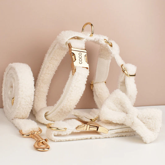White Teddy Pet Collar & Harness Set With Custom Engraving