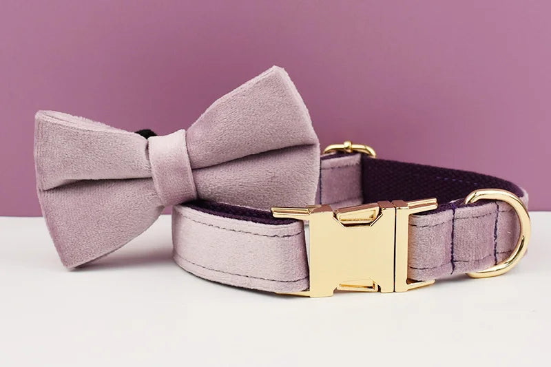 Light Purple Velvet Dog Collar And Leash Set - Custom Engraved Nameplate