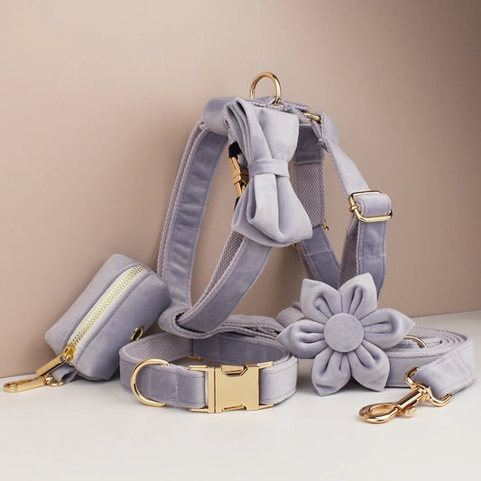 Lilac Dog Collar Harness Leash Set - Custom Engraved Nameplate