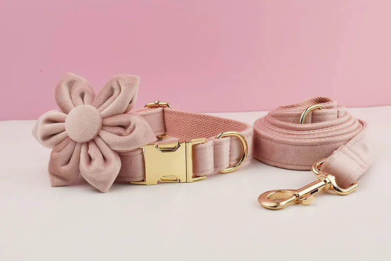 Pale Pink Velvet Dog Collar And Leash Set