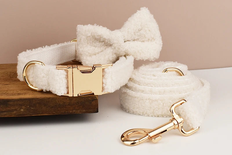 White Teddy Pet Collar & Harness Set With Custom Engraving