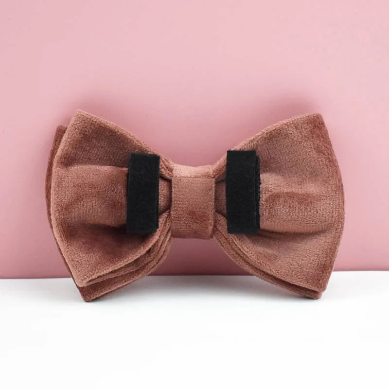 Dusty Pink Velvet Pet Collar And Leash Set with Nameplate