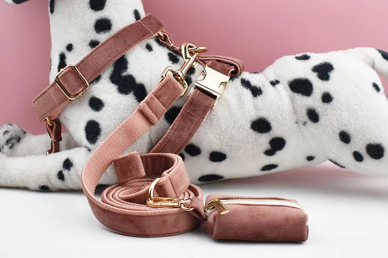 Dusty Pink Velvet Pet Collar And Leash Set with Nameplate